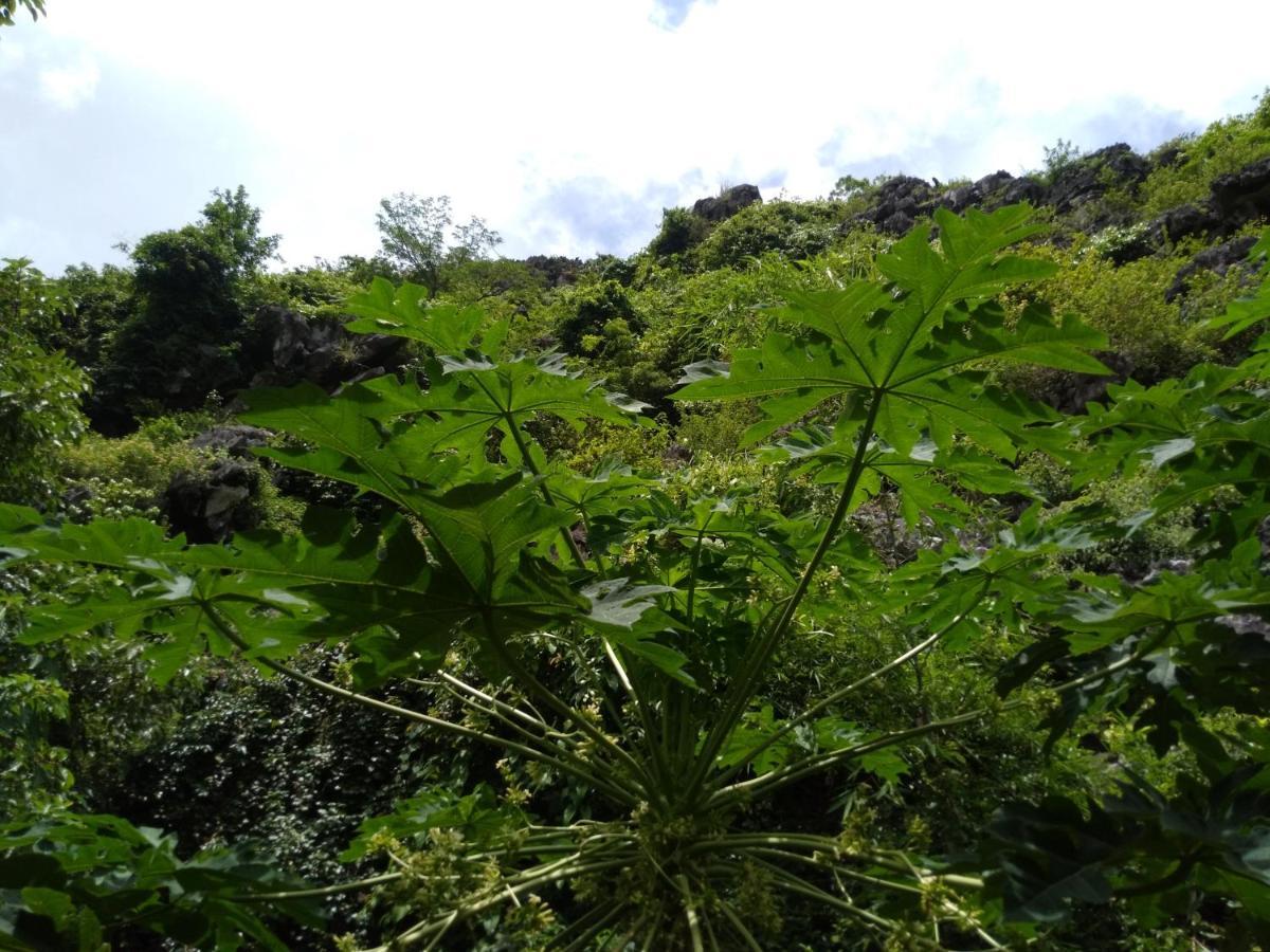 Ali Homestay Ninh Binh Buitenkant foto