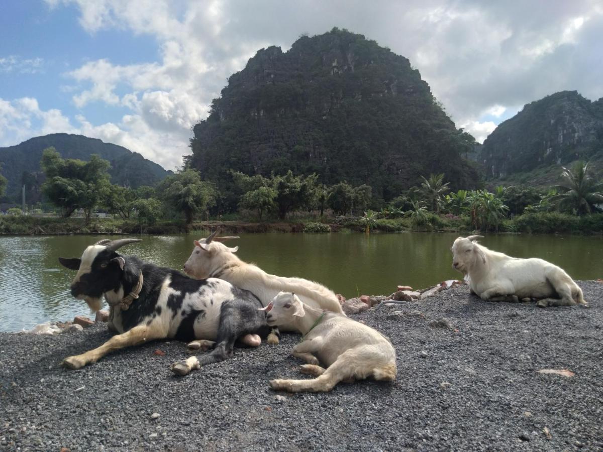 Ali Homestay Ninh Binh Buitenkant foto
